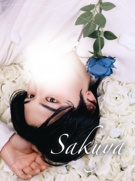 SAKUYA(ｻｸﾔ)