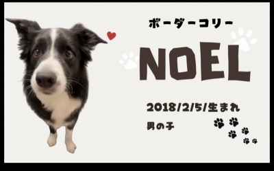 ATSUMU（ｱﾂﾑ） お知らせ