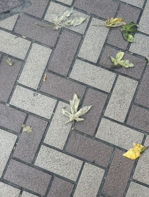 KONOSUKE(ｺｳﾉｽｹ) adidas？