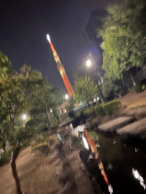 MERU(ﾒﾙ) 夜のお散歩🚶