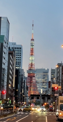 NAGISA(ﾅｷﾞｻ) #7 東京タワー🗼なぎさです