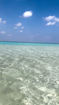 KOJIRO(コジロウ) ハテの浜🏝️