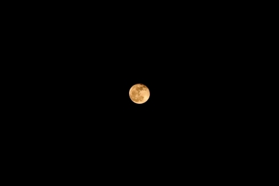 TSUKISHIMA(ﾂｷｼﾏ) 🌕4月 満月 