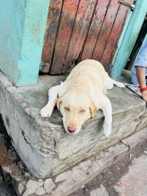 MOCHI（ﾓﾁ） 自分自身と向き合える場所。