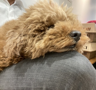 NARUMI(ﾅﾙﾐ) 人から出る香り