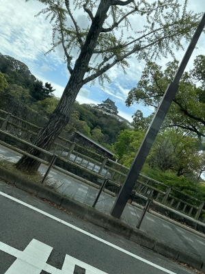 KIRA(ｷﾗ) 雨予報