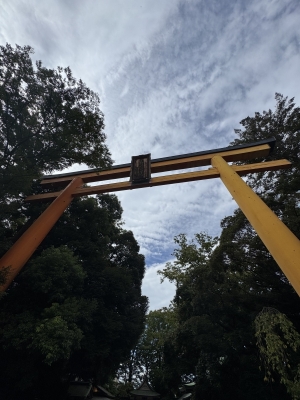 WAKA(ワカ) おはようございます!