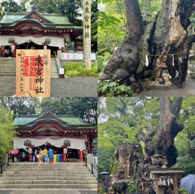 KONOSUKE(ｺｳﾉｽｹ) 金運UPで有名な熱海の来宮神社⛩