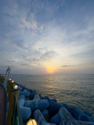 SHIRAKI(シラキ) 沖縄の風と、月末に向けての準備