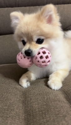 KEITA(ｹｲﾀ) これから！
