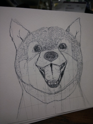 YAK(ﾔｸ) 犬