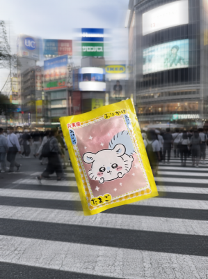 MERU(ﾒﾙ) ご飯のおとも　だち