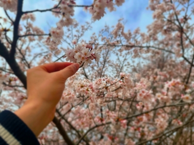 GENKI(ゲンキ) 今日もちゃんと前に進んでる