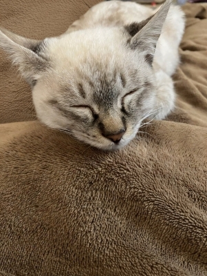 KEISUKE(ケイスケ) 冷たい雨と、あったかい時間