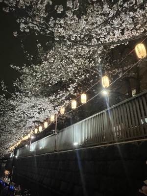 RINKO(ﾘﾝｺ) 3月スタート🌸🍻