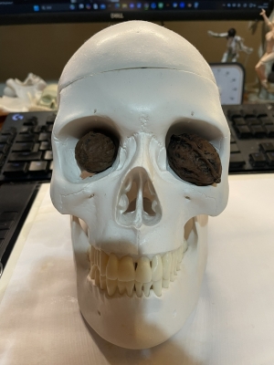 TATSUYA(ﾀﾂﾔ) 節分　クルミで代用