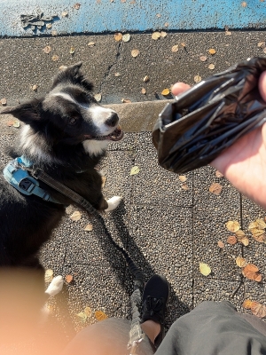 ATSUMU(アツム) 健康診断