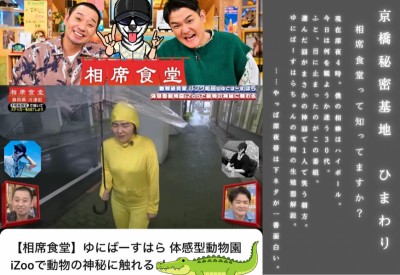 HIMAWARI(ﾋﾏﾜﾘ) 相席してもいいですか？