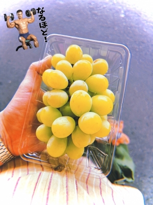 MOCHI(モチ) 10秒チャージ。