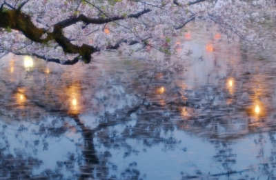 KAREN(ｶﾚﾝ) 桜の時期