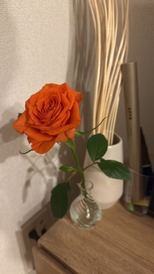 HISAKI(ヒサキ) New花瓶🌸