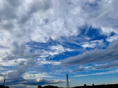 SHION(ｼｵﾝ) 今日も。。。