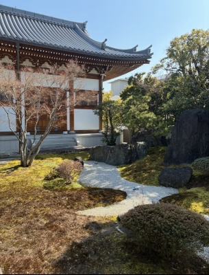 HANZO（ﾊﾝｿﾞｰ） 春