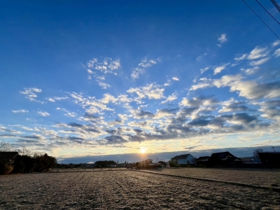 SHU(ｼｭｳ) 🎍✨ あけましておめでとうございます ✨🎍