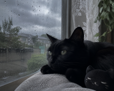 REI(ﾚｲ) ☔️さんさんと〜