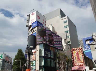 KOYOI(ｺﾖｲ) 生存確認
