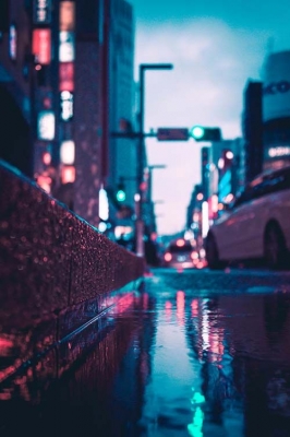 TAKUMI（ﾀｸﾐ） 雨ですが