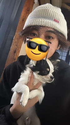 YUI（ﾕｲ） 愛犬紹介🐶