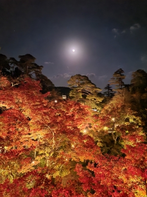  YUKI(ﾕｷ) もみじ谷