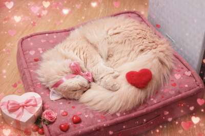 BOSS(ﾎﾞｽ) (^ට ‧̫ ට^)੭