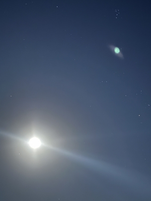 AO(アオ) 特別な日