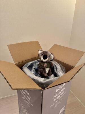 YUICHI(ﾕｳｲﾁ) 🐨
