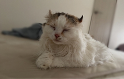 YUMA(ﾕｳﾏ) 3連休お待ちしております🐱