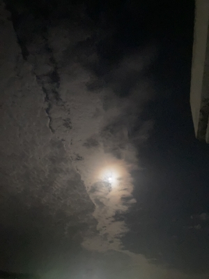 SOUTO(ｿｳﾄ) こんばんは🌙