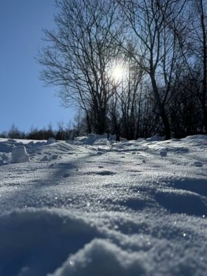 CHITOSE(ﾁﾄｾ) 雪