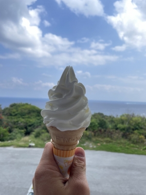 SEIGO(ｾｲｺﾞ) 沖縄の綺麗な海と塩ソフト