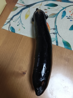 IEYASU(ｲｴﾔｽ) 【day3 どうする？いえやす日記】