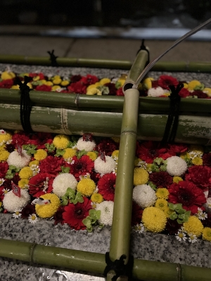 MINORI(ﾐﾉﾘ) 🎍明けましておめでとうございます🎍