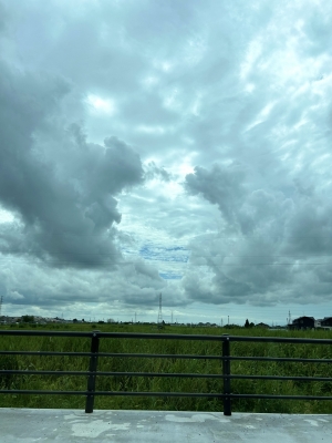 KONOSUKE(ｺｳﾉｽｹ) シーサー雲