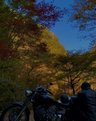 KENTO(ｹﾝﾄ) 紅葉の見頃