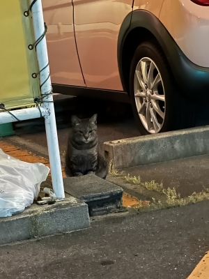 KIRITO(キリト) ひっそり