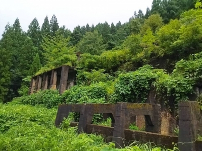 TOUYA(ﾄｳﾔ) 夏の山のこの緑色が好き