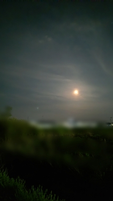 YORU(ﾖﾙ) 朧月