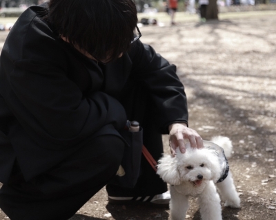 MASH(ﾏｯｼｭ) #2-22 将来は絶対に犬を飼いたい！