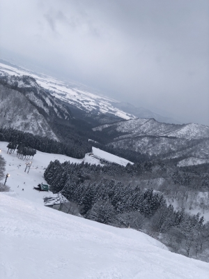NANASE(ナナセ) 今年こそは🏂