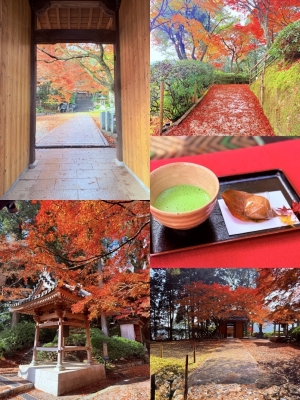 KENJI(ｹﾝｼﾞ) 秋の紅葉デート🍁